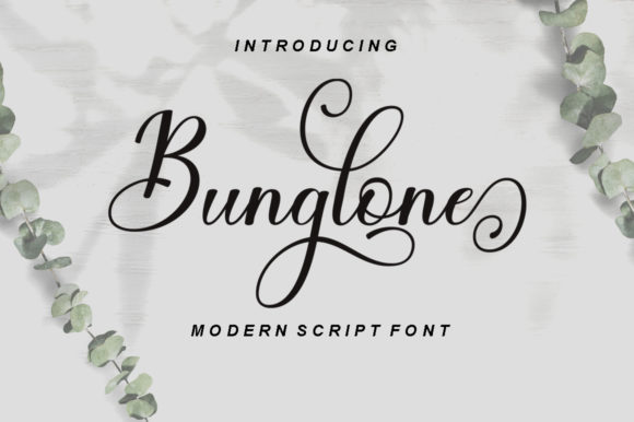 Bunglone: A Playful Script Font for Modern Design