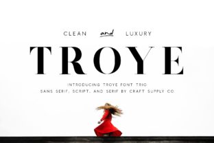 Troye Trio: A Versatile Typographic Solution for Modern Designers